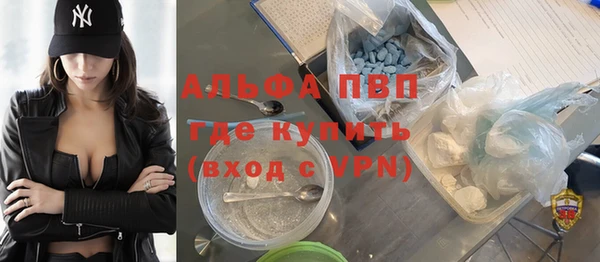 гашик Арсеньев