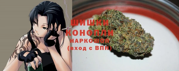 гашик Арсеньев