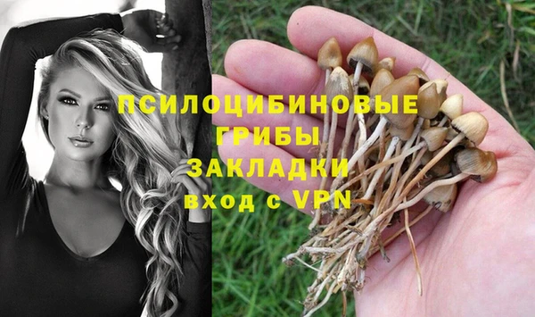 гашик Арсеньев