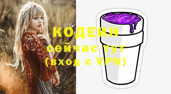 гашик Арсеньев