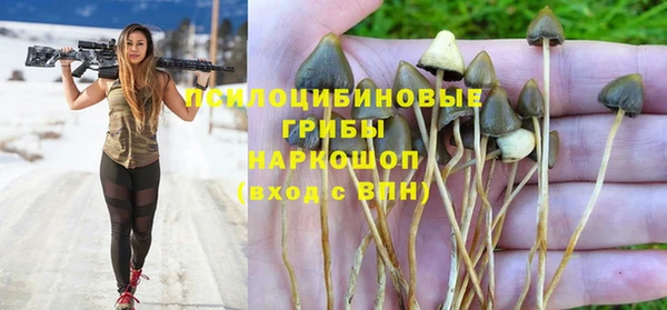 спиды Остров